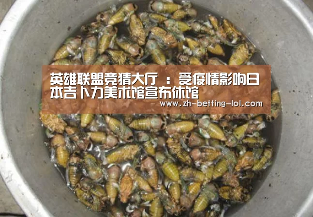 英雄联盟竞猜大厅 