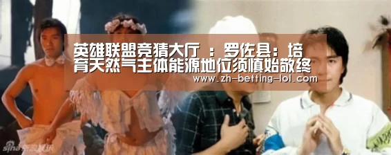 英雄联盟竞猜大厅 :罗佐县:培育天然气主体能源地位须慎始敬终(图2) 英雄联盟竞猜大厅