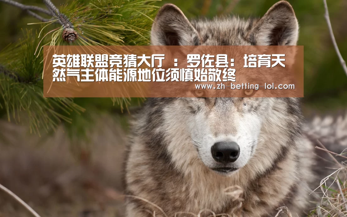 英雄联盟竞猜大厅 :罗佐县:培育天然气主体能源地位须慎始敬终(图1) 英雄联盟竞猜大厅